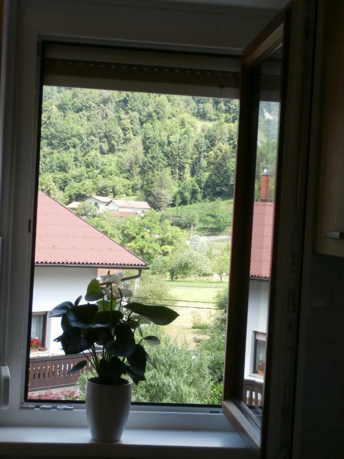 Apartma Ana Dreznica Kobarid Exterior foto